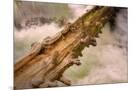 Wood Mount