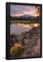 Essential Black