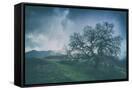 Canvas Black