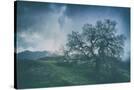 Stretched Canvas
