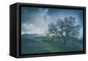 Canvas Black