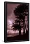 Essential Black