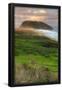 Essential Black
