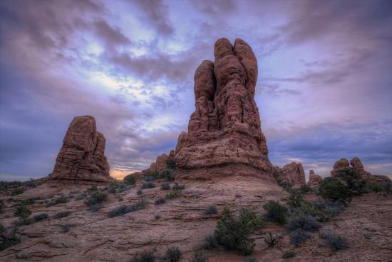 Premium Photographic Print, , large