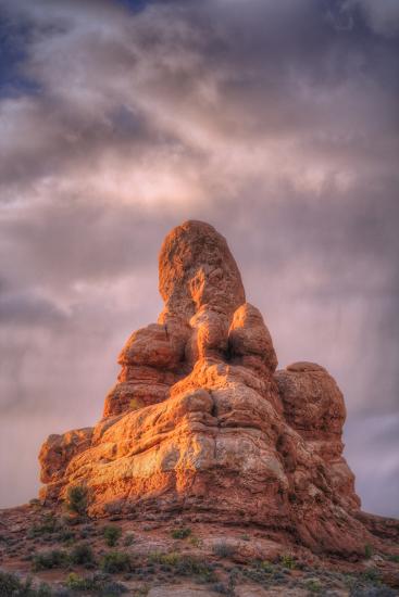 Photographic Print, , large