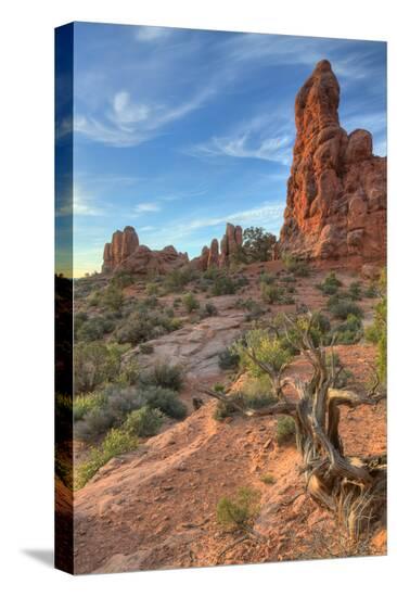 Stretched Canvas Print, , large