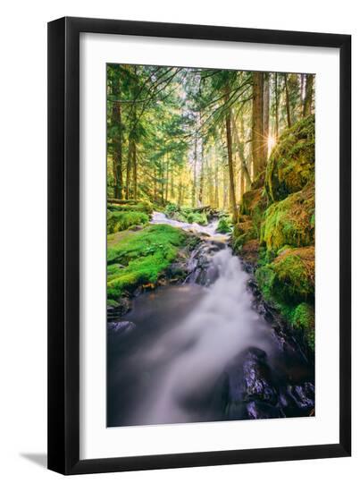 Premium Photographic Print, , large