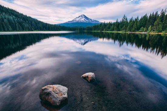 Premium Photographic Print, , large