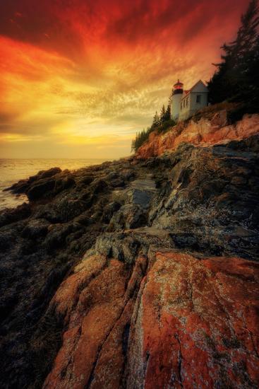 Photographic Print, , large