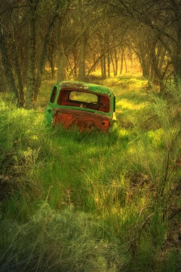 Photographic Print, , large