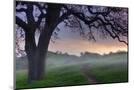 Wood Mount