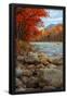 Essential Black