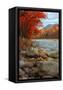 Canvas Black