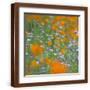 Brown Frame