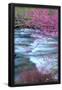 Essential Black