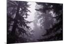 Wood Mount