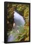 Essential Black