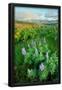 Essential Black