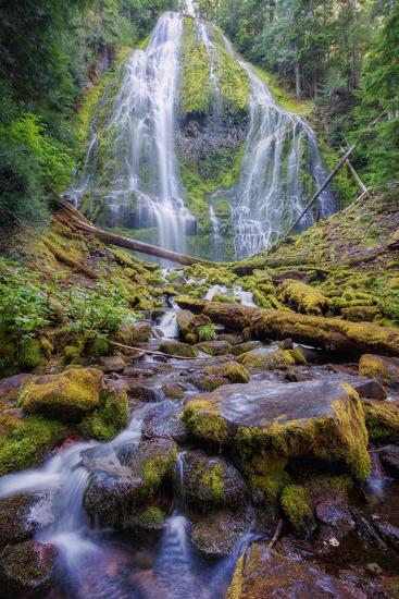 Premium Photographic Print, , large