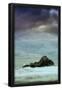 Essential Black