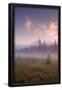Essential Black