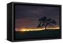 Canvas Black