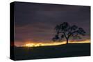 Stretched Canvas