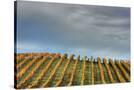 Stretched Canvas