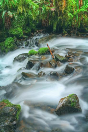 Premium Photographic Print, , large