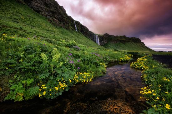 Premium Photographic Print, , large