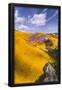 Essential Black