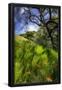 Essential Black