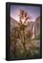 Essential Black