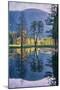 Wood Mount