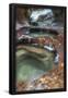 Essential Black