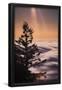 Essential Black