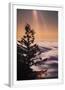 Chelsea White