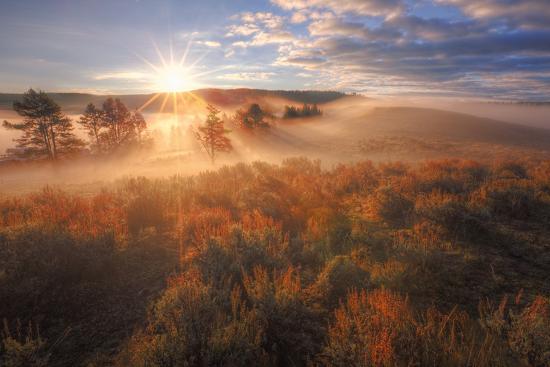 Premium Photographic Print, , large