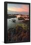 Essential Black