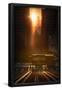 Essential Black