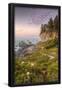 Essential Black