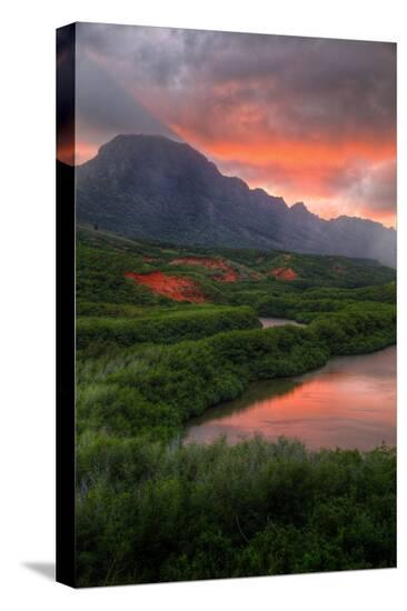 Stretched Canvas Print, , large