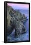 Essential Black