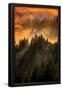 Essential Black