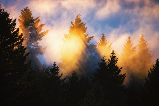 Premium Photographic Print, , large