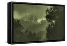 Canvas Black