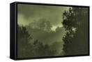 Canvas Black