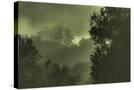 Stretched Canvas