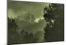 Wood Mount