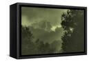 Canvas Black